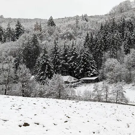 Vakantiehuis Mitten In Der Meschede