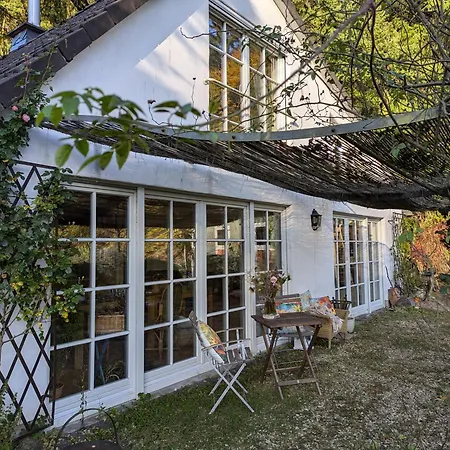 Mitten In Der Vakantiehuis