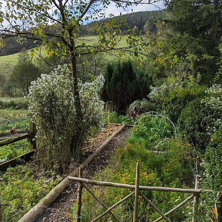 Mitten In Der * משדה