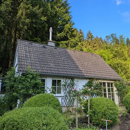 Mitten In Der Vakantiehuis