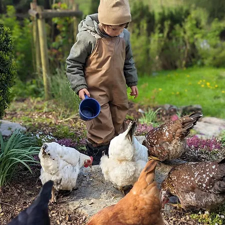 Mitten In Der משדה