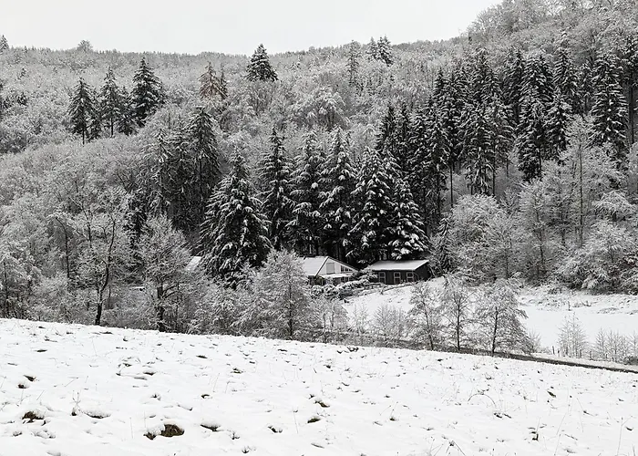 Сasa de vacaciones Mitten In Der Meschede