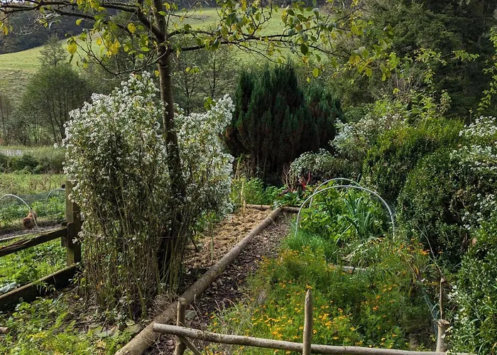 Mitten In Der * Meschede