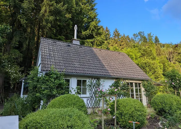 Mitten In Der Vakantiehuis