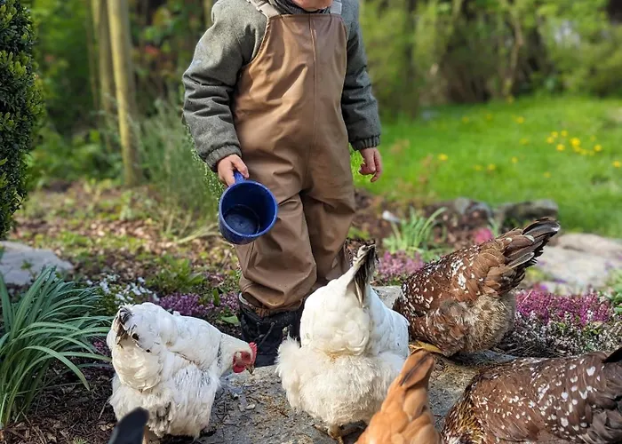 Mitten In Der Meschede